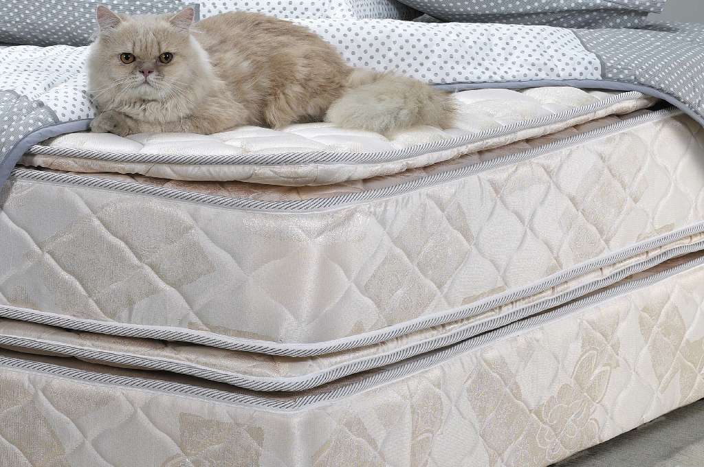 gatto sopra ai materassi